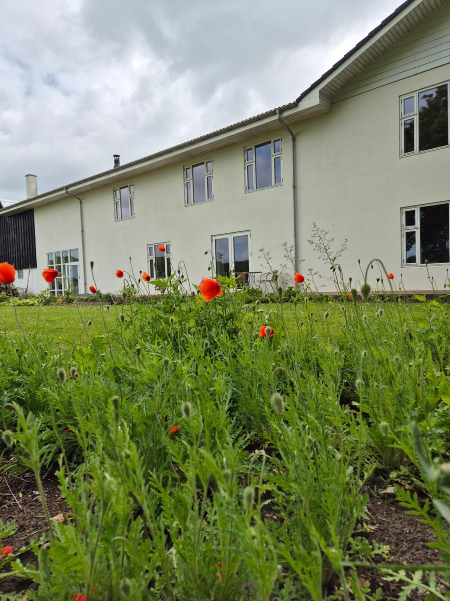 Knebel Mols Bed & Breakfast المظهر الخارجي الصورة