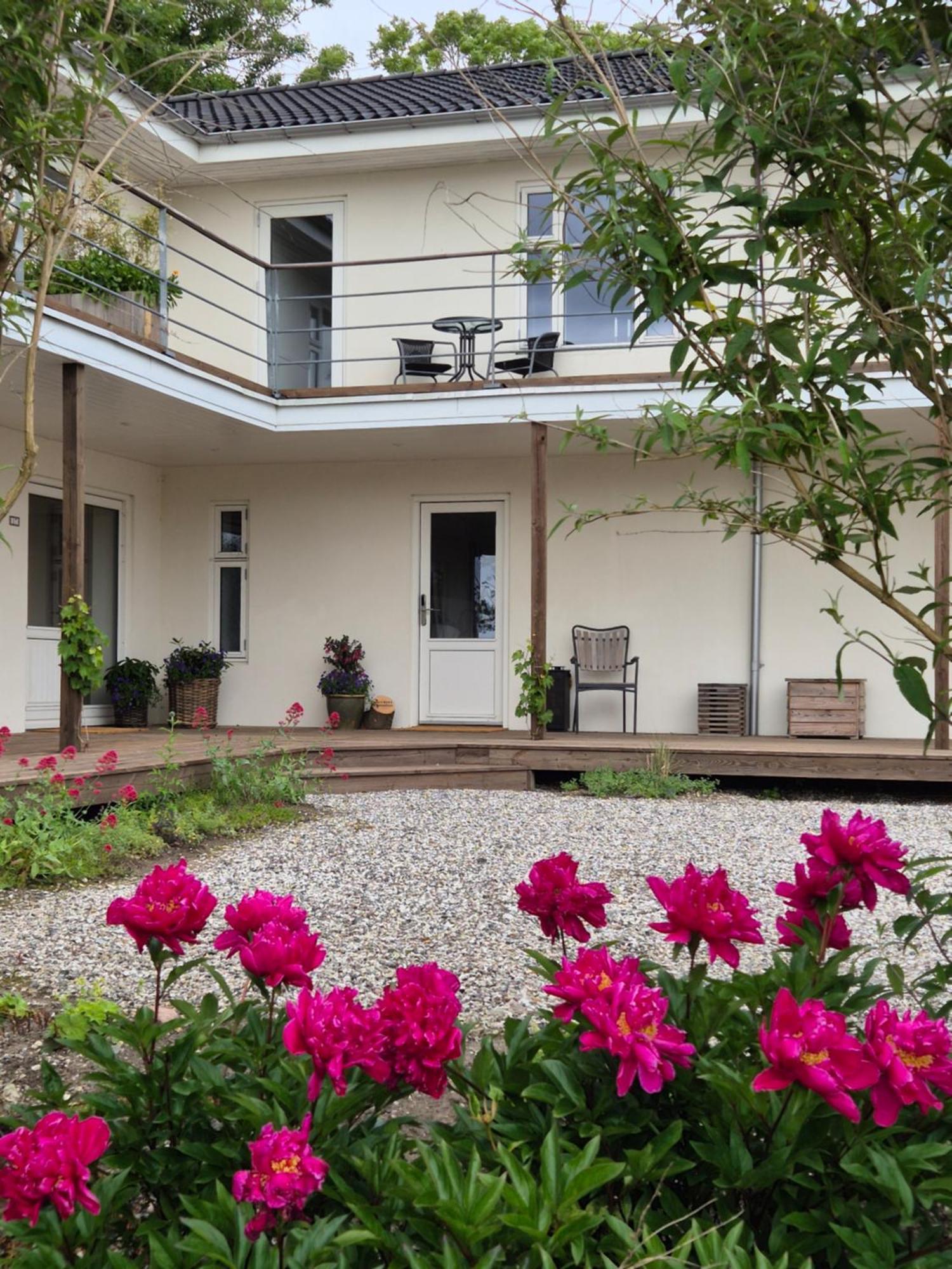 Knebel Mols Bed & Breakfast المظهر الخارجي الصورة
